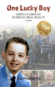 ABS_JoeFitzmartin_OneLuckyBoy_eBook Cover